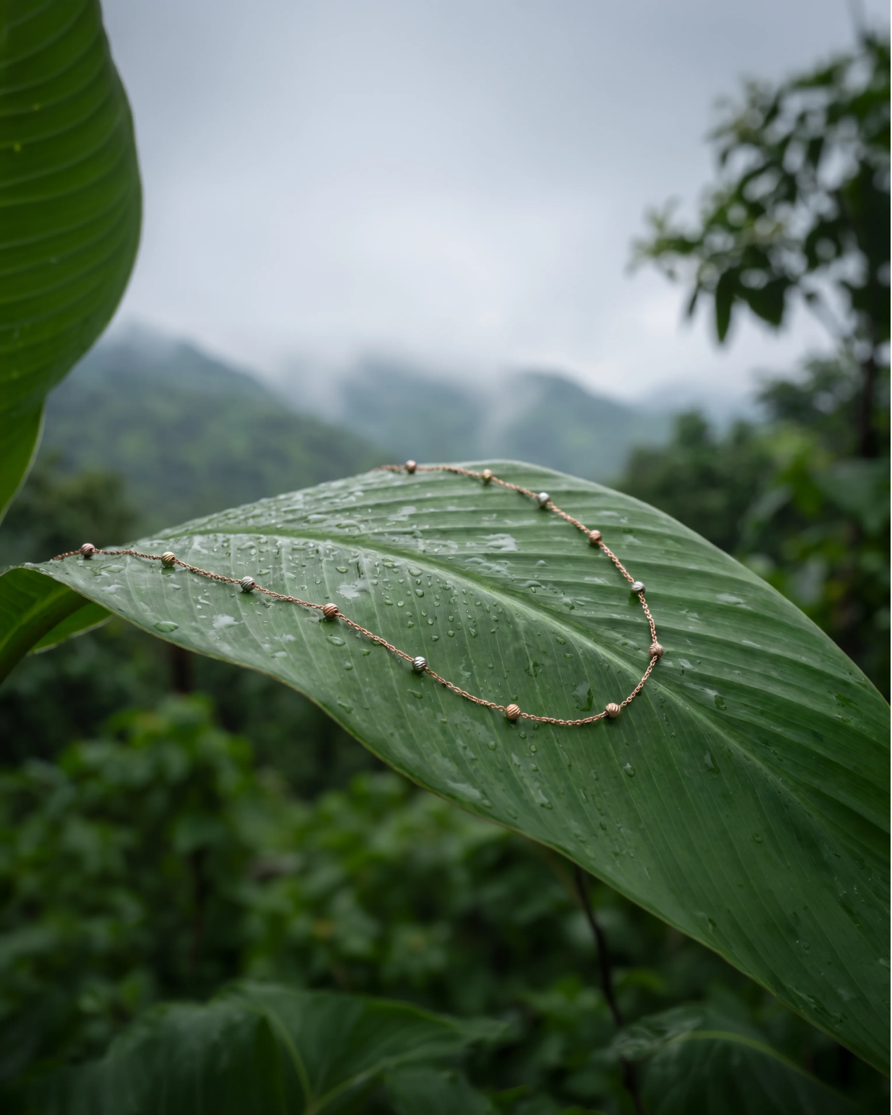 Horizon Chain